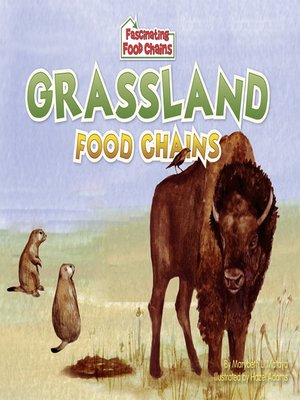 cover image of Grassland Food Chains